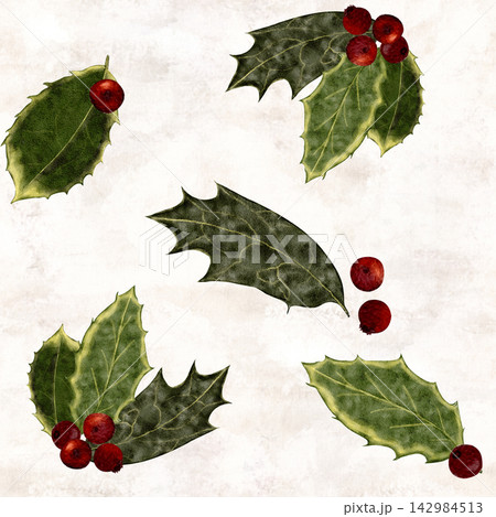 Holly leaves and red berries watercolor seamless pattern on cloud white. Winter in traditional Christmas colors, perfect for wrapping paper, textiles, stationery, packaging, festive seasonal design Holly leaves and red berries watercolor seamless pattern on cloud white. Winter in traditional Christmas colors, perfect for wrapping paper, textiles, stationery, packaging, festive seasonal design 142984513