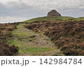 Footpath leading up to Dunkery Beacon cairn, Exmoor, Somerset 142984784
