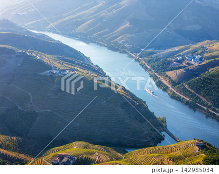 Tourist Boat on Douro River Between Vineyard Hills Tourist Boat on Douro River Between Vineyard Hills 142985034