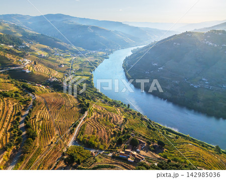 Sunrise over Douro River valley and vineyard hills Portugal Sunrise over Douro River valley and vineyard hills Portugal 142985036