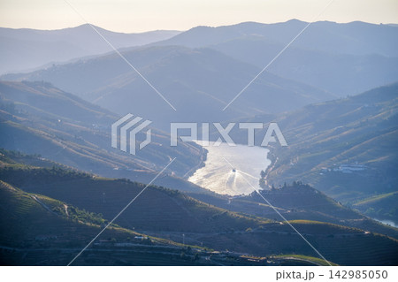 Tourist Boat on Douro River Between Vineyard Hills Tourist Boat on Douro River Between Vineyard Hills 142985050