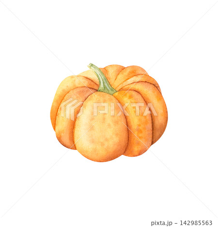 Watercolor illustration of a ripe orange pumpkin. An autumn harvest from the farm or garden. A pumpkin for Halloween or Thanksgiving. suitable for decoration or for preparing vegetarian dishes. Watercolor illustration of a ripe orange pumpkin. An autumn harvest from the farm or garden. A pumpkin for Halloween or Thanksgiving. suitable for decoration or for preparing vegetarian dishes. 142985563