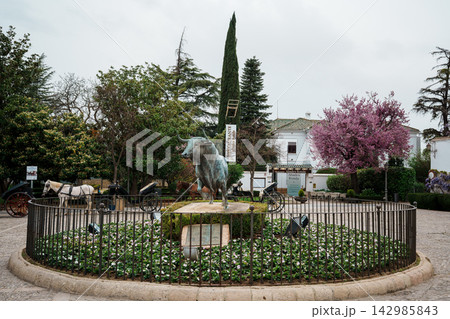 Bronze bull statue surrounded by horse-drawn carriages near a blossoming tree in Ronda Bronze bull statue surrounded by horse-drawn carriages near a blossoming tree in Ronda 142985843