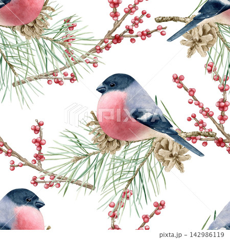 Watercolor winter seamless pattern with bullfinch birds, pine branches, cones and red berries. Hand drawn backdrop for Christmas holidays and New Year design on white. Watercolor winter seamless pattern with bullfinch birds, pine branches, cones and red berries. Hand drawn backdrop for Christmas holidays and New Year design on white. 142986119