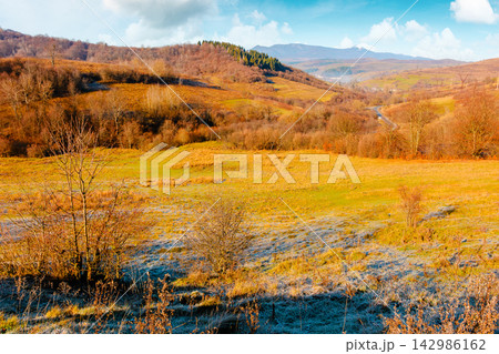 beautiful autumn forenoon in mountains. trees on a hill in fall colors. wonderful countryside landscape of Ukraine on a sunny weather 142986162
