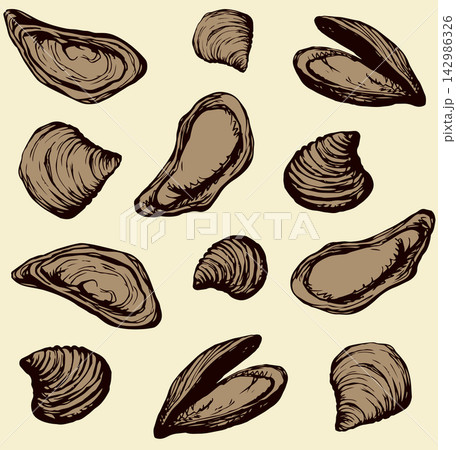 Oyster. Vector drawing icon sign 142986326