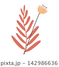 flower vector illustration 142986636