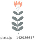 flower vector illustration 142986637