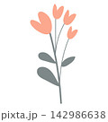 flower vector illustration 142986638