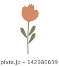 flower vector illustration 142986639