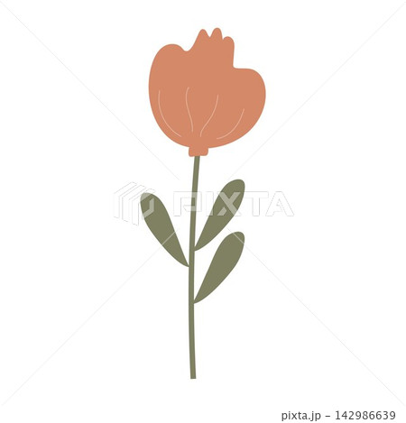 flower vector illustration flower vector illustration 142986639