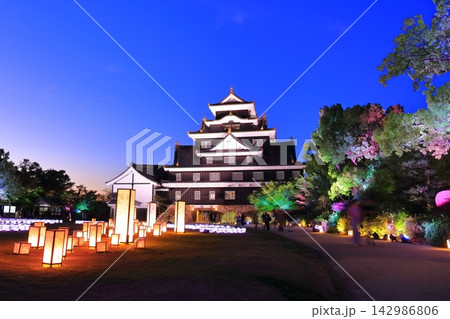 【岡山県】春の幻想的なライトアップされた岡山城（春の鳥城灯源郷） 142986806