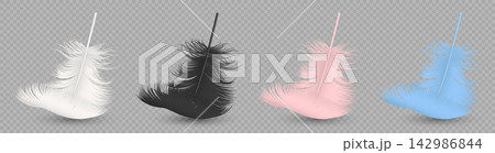 Realistic Feathers, Vector Illustration. Feathers in White Black Pink and Blue. Feathers Floating Isolated for Fashion, Decoration, Beauty, Softness, Plumage, Elegant Feather Designs Realistic Feathers, Vector Illustration. Feathers in White Black Pink and Blue. Feathers Floating Isolated for Fashion, Decoration, Beauty, Softness, Plumage, Elegant Feather Designs 142986844