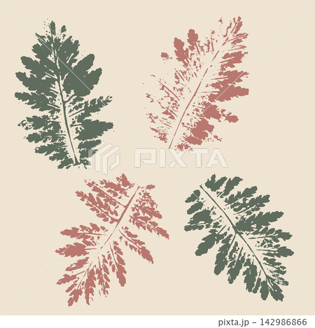 Botanical autumn leaves imprints set. Sage green and terracotta ink pressed leaves on beige background, natural vintage herbarium printmaking illustration. 142986866