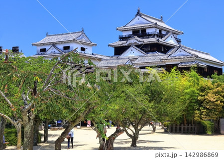 【愛媛県】松山城（現存12天守） 142986869