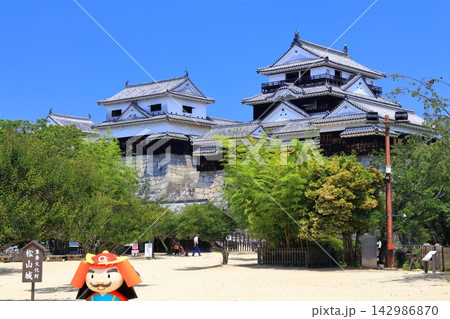 【愛媛県】松山城（現存12天守） 142986870