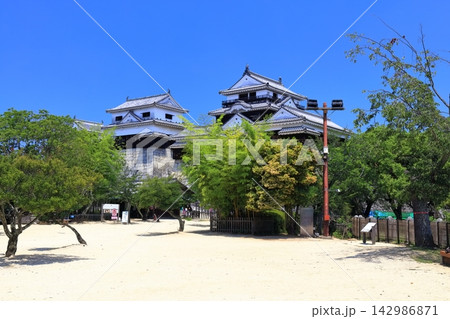 【愛媛県】松山城（現存12天守） 142986871