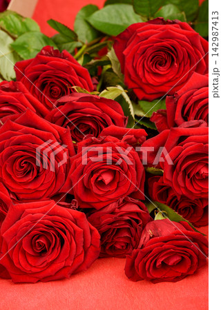 Red Roses Bouquet with Green Leaves on Red Background Close-Up Red Roses Bouquet with Green Leaves on Red Background Close-Up 142987413