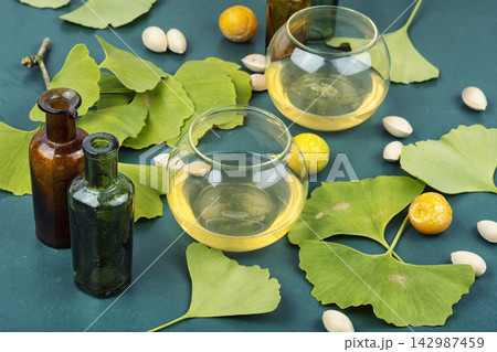 Ginkgo biloba green leaf, homeopathic herbs. Ginkgo biloba green leaf, homeopathic herbs. 142987459