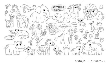 Big black and white safari mother and baby animals and birds for kids. Vector African animal family set. Line savanna pack with lion, elephant, zebra, giraffe, flamingo. Savannah wildlife coloring 142987527