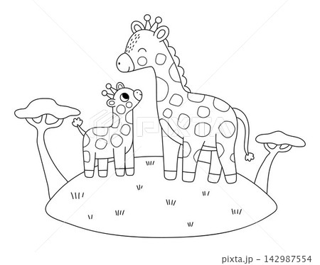 Vector black and white African giraffe with baby on grass under sun. Line cartoon savanna family scene for kids. Safari animals on natural background. Savannah mother and baby coloring page Vector black and white African giraffe with baby on grass under sun. Line cartoon savanna family scene for kids. Safari animals on natural background. Savannah mother and baby coloring page 142987554