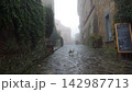 霧の路地と猫　The Foggy Alley and the Cat 142987713