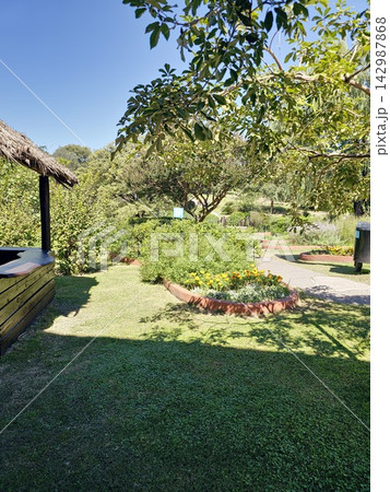 Landscaped Flower Garden and Green Lawn in Cordoba 142987868