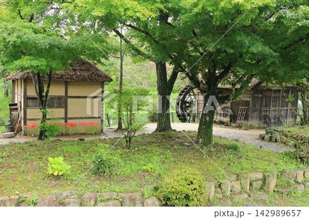 初秋の安曇野 大王わさび農場の水車小屋 初秋の安曇野 大王わさび農場の水車小屋 142989657