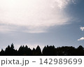 青空と雲、木々のシルエット 142989699