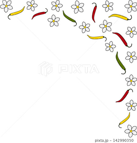 Corner frame shows scattered chili peppers and white flowers on white along the top and right edges. Vector illustration Food poster, recipe pages, menu or botanical packaging designs Copy space Blank Corner frame shows scattered chili peppers and white flowers on white along the top and right edges. Vector illustration Food poster, recipe pages, menu or botanical packaging designs Copy space Blank 142990350