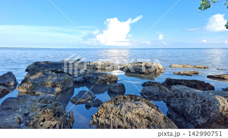 Coastal Coral Rocks on Tropical Beach Shore Under Blue Sky 142990751