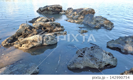 High Angle Close Up of Coral Rocks in Shallow Coastal Water High Angle Close Up of Coral Rocks in Shallow Coastal Water 142990754