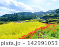 江里山の棚田とヒガンバナ　佐賀県小城市 142991053