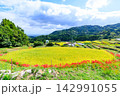 江里山の棚田とヒガンバナ　佐賀県小城市 142991055