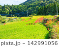 江里山の棚田とヒガンバナ　佐賀県小城市 142991056
