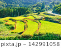 江里山の棚田とヒガンバナ　佐賀県小城市 142991058