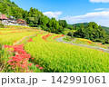 江里山の棚田とヒガンバナ　佐賀県小城市 142991061