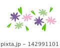 花 142991101