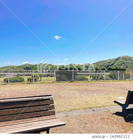 青空と緑が広がる競馬場内のベンチと開放的な風景 青空と緑が広がる競馬場内のベンチと開放的な風景 142991111