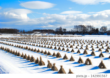 冬の訪れを感じる里山の景色、雪と藁のコントラスト 冬の訪れを感じる里山の景色、雪と藁のコントラスト 142991567