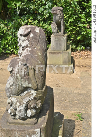 岩槻散歩:鎧宮八幡神社 狛犬 岩槻区南辻 岩槻散歩:鎧宮八幡神社 狛犬 岩槻区南辻 142991612