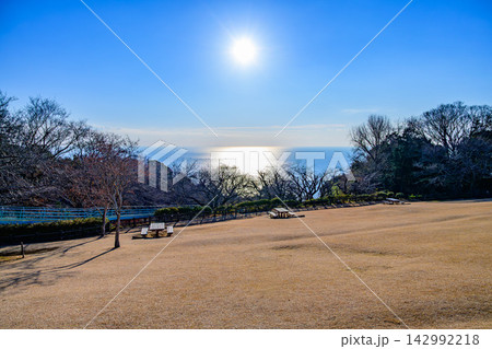 青空に輝く太陽と黄金色の広い芝生広場の向こうに広がる明るく輝く相模湾を捉えた冬の早朝風景 青空に輝く太陽と黄金色の広い芝生広場の向こうに広がる明るく輝く相模湾を捉えた冬の早朝風景 142992218