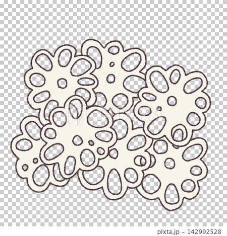 Lotus root illustration 142992528