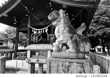 春日井市神領 神明社の狛犬 春日井市神領 神明社の狛犬 142992584