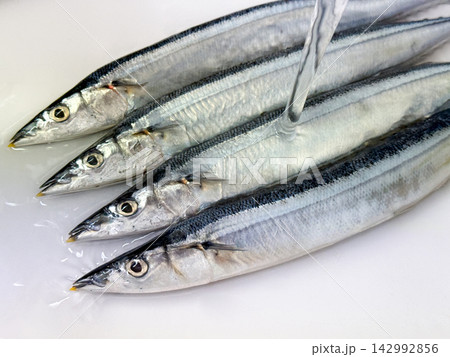 調理前に流水で水洗いする新鮮な秋刀魚 調理前に流水で水洗いする新鮮な秋刀魚 142992856