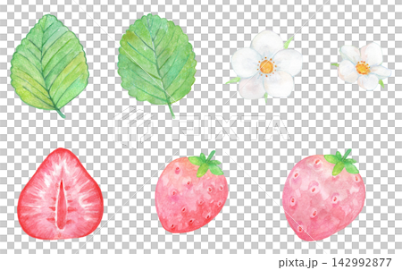 一組草莓、花朵和葉子的水彩插圖 142992877