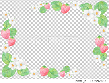 草莓和草莓花相框素材(水彩) 草莓和草莓花相框素材(水彩) 142992883