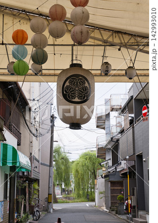 京都・古川町商店街を彩る大提灯と町並み 京都・古川町商店街を彩る大提灯と町並み 142993010