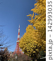 秋晴れの空に映える東京タワーと大イチョウ 142993035