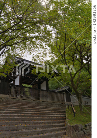木々に囲まれた粟田離宮の門と石段 京都 木々に囲まれた粟田離宮の門と石段 京都 142993256